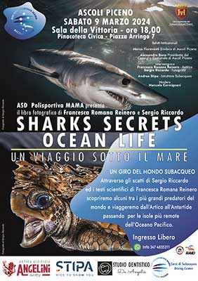 Sharks secrets ocean life - Un viaggio sotto il mare