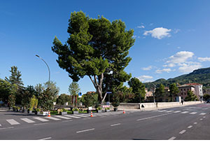 Area di “Socialità Urbana” - Immagine 1