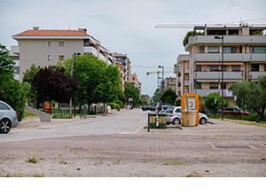 Riqualificazione di viale dei Platani - immagine 2