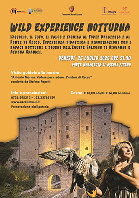 Wild Experience Notturna