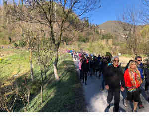 Gruppo  a passeggio