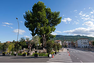 Area di “Socialità Urbana” - Immagine 2