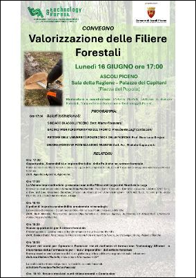 Valorizzazione delle filiere forestali