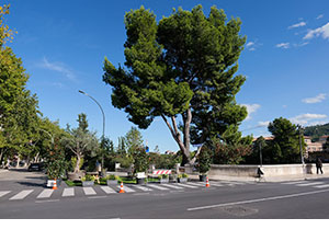 Area di “Socialità Urbana” - Immagine 3