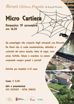 Micro Cartiera