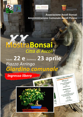 XX Mostra Bonsai "Città di Ascoli"