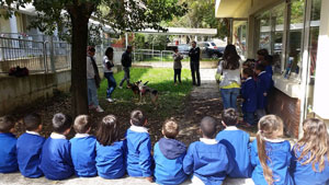 foto di gruppo sotto l'albero