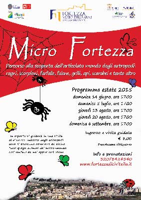 Micro Fortezza