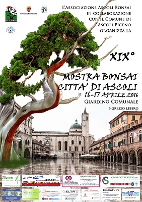 Locandina XIX Mostra Bonsai città di Ascoli