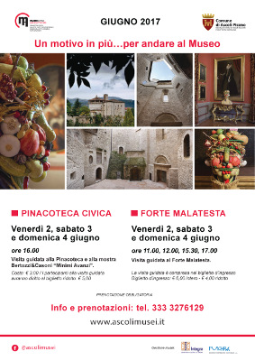 Un motivo in più... per andare al Museo
