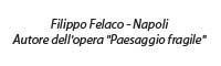 Filippo Felaco - Napoli - Autore dell'opera "Paesaggio fragile"