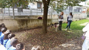 foto di gruppo sotto l'albero