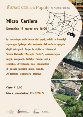   "Micro Cartiera"