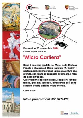 Micro Cartiera
