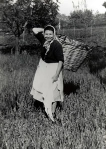 Contadina, Ascoli Piceno - anni '50