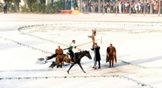 The Joust of the Quintana