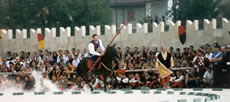 Le cheval