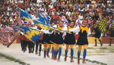 The banner of the flag wavers