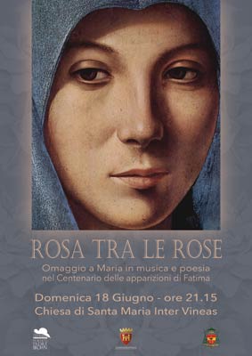 Rosa tra le rose
