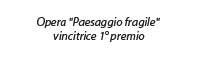 Opera "Paesaggio fragile" vincitrice 1° premio