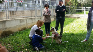 In giardino con il cane