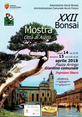 XXII Mostra Bonsai Città di Ascoli
