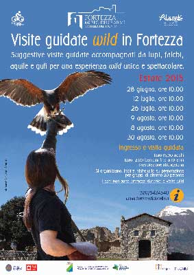 Visite wild con il falconiere