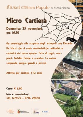 Micro Cartiera