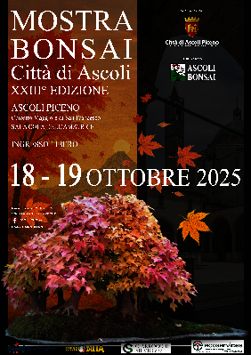 Mostra bonsai Città di Ascoli